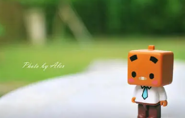 �ɾ��������ǳƿɰ� ͹���Լ�����������