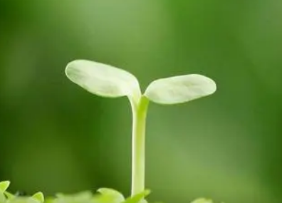 ϣ��Ů���������ֵ����� ������ֵ�Ů�����ִ�ȫ