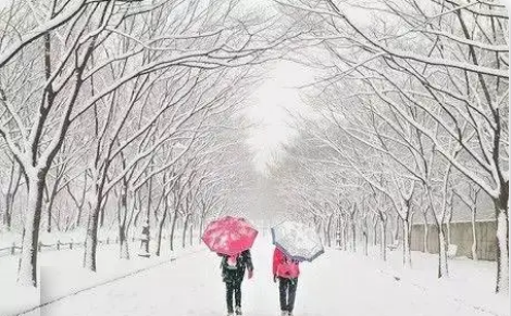 �ϱ������Ĳ���һ��� ��ѩҪ��ɡ��