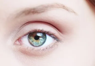 �ָ����ӵ���ѷ�������Щ �ָ������۵�С����