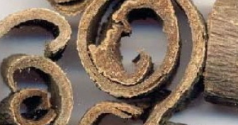 ���ӵ����ú͹�Ч ������ҩ����