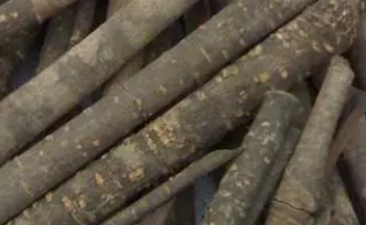 ���ӵ����ú͹�Ч ������ҩ����