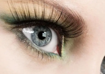 �ָ����ӵ���ѷ�������Щ �ָ������۵�С����