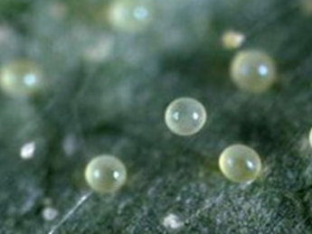 ����Ȼ����Щ����Ķ��� ����Ȼ��������������Щ