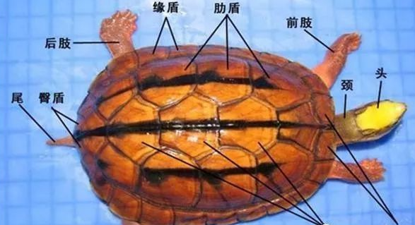 �������Ǯ�� ��Ǯ�������