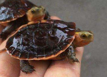 �������Ǯ�� ��Ǯ�������