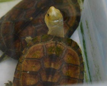 �������Ǯ�� ��Ǯ�������