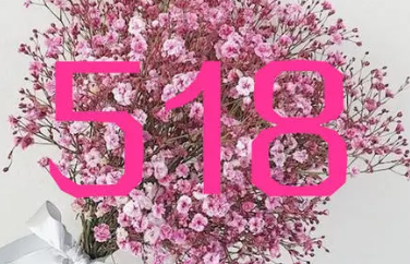 1��9�İ������ֺ��� 1һ9��������ʲô��˼