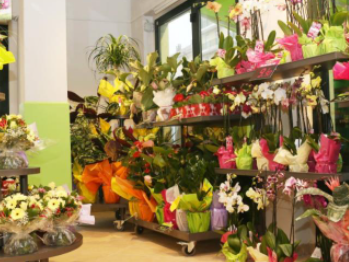 �ɱ����ʺ�Ů�Կ����� �ʺ�Ů������ʮ���ֵ�