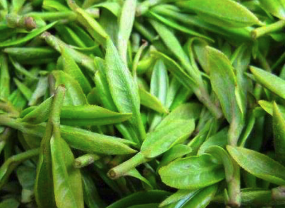 苔茶是什么茶 苔茶是什么茶苔茶的功效与作用