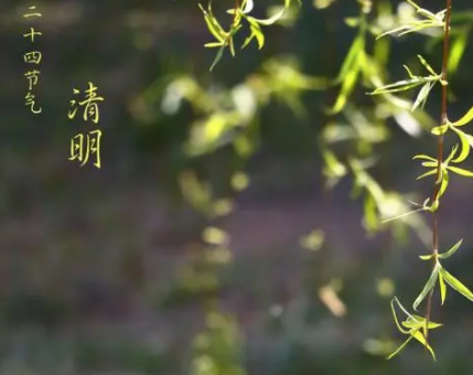 ɨĹ��������½��� �����ڲ�������������