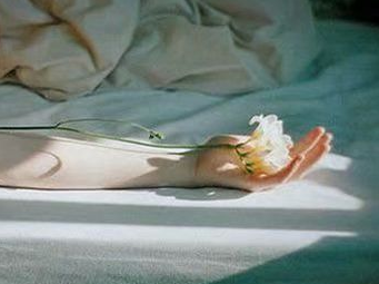 ��Ц���ܱ��ﰮ��ľ��� ��������û��ѽ��