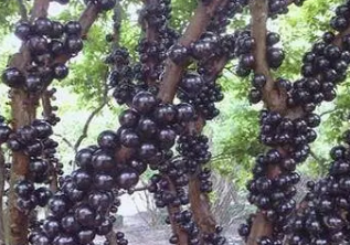 �α�����ô�� �α�������ȷ�Է�