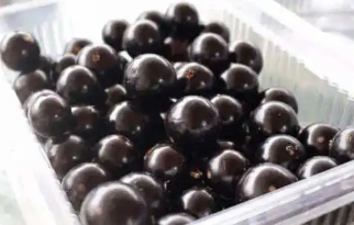 �α�����ô�� �α�������ȷ�Է�