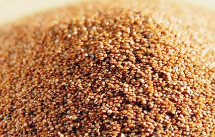 ������Ĥ��ô�� ������Ĥ���÷�