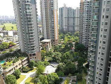 ��19¥������ 19¥����һ������ס��