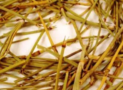 ��ƵĹ�Ч������ ����ʳ���Ǵ������֪��