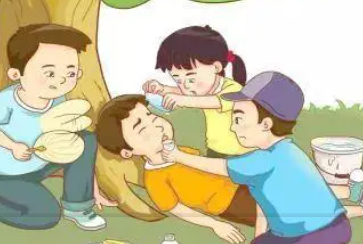 基本救护知识培训 现场急救的目的和原则