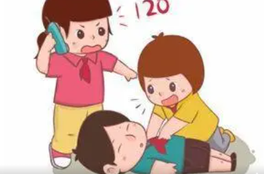 基本救护知识培训 现场急救的目的和原则