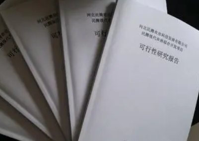 论文可行性分析 你需要知道什么是可行性分析