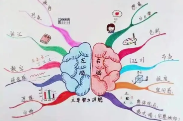 什么是全脑开发 全脑开发的培养好处