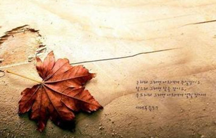 ��л����֧�ֵ�����Ȧ�İ� ��л���߽��ҵ�����