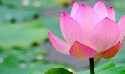 �ܶ໨����������ʱ�򿪻� ���쿪�Ļ�����ʲô������ʲô����