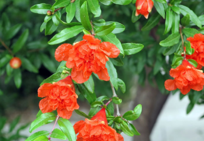 �ܶ໨����������ʱ�򿪻� ���쿪�Ļ�����ʲô������ʲô����