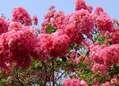 �ܶ໨����������ʱ�򿪻� ���쿪�Ļ�����ʲô������ʲô����