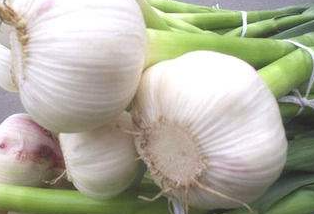 低糖食物包括哪些 低热量低糖的主食排行榜