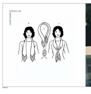 ����˿����20��ϵ��ͼ�� ���ڳ�˿��������Χ��