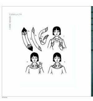 ����˿����20��ϵ��ͼ�� ���ڳ�˿��������Χ��