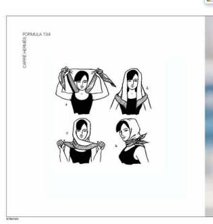 ����˿����20��ϵ��ͼ�� ���ڳ�˿��������Χ��