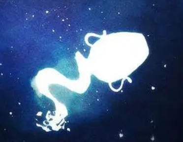 ˮƿ����ʲôˮ����� ˮƿ���ʺϵ�ˮ������