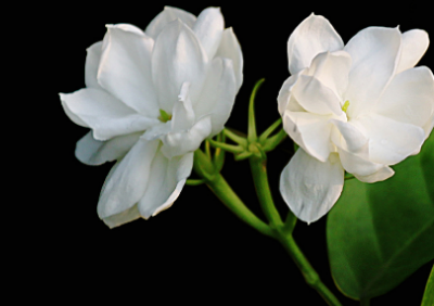 �ܶ໨����������ʱ�򿪻� ���쿪�Ļ�����ʲô������ʲô����