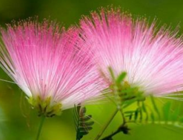 �ܶ໨����������ʱ�򿪻� ���쿪�Ļ�����ʲô������ʲô����