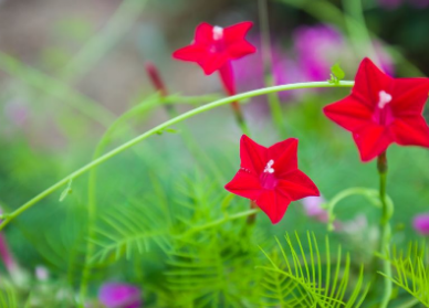 �ܶ໨����������ʱ�򿪻� ���쿪�Ļ�����ʲô������ʲô����