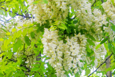 �ܶ໨����������ʱ�򿪻� ���쿪�Ļ�����ʲô������ʲô����