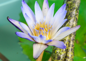 �ܶ໨����������ʱ�򿪻� ���쿪�Ļ�����ʲô������ʲô����