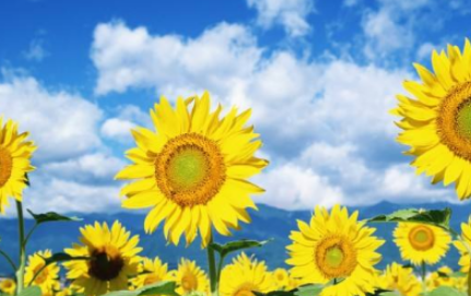 �ܶ໨����������ʱ�򿪻� ���쿪�Ļ�����ʲô������ʲô����