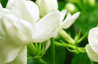 �ܶ໨����������ʱ�򿪻� ���쿪�Ļ�����ʲô������ʲô����