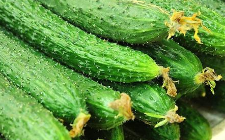 低糖食物包括哪些 低热量低糖的主食排行榜