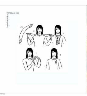 ����˿����20��ϵ��ͼ�� ���ڳ�˿��������Χ��