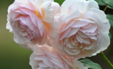 ��ʵ��������ʱ���Ե� �����ǴӸ�׿�ʼ�ľ�����¼