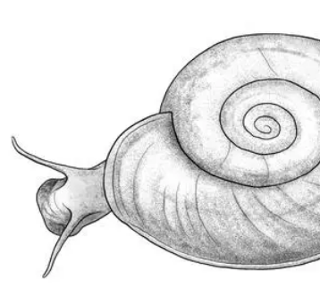 ����������ֳ������� ���ֳ�����ʱ��Ҫע��ϸ��