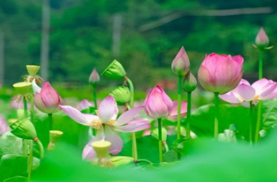 �ܶ໨����������ʱ�򿪻� ���쿪�Ļ�����ʲô������ʲô����