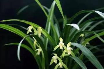 �������������� �ܶ���ϲ���ڼ�����ֳ����