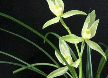 �������������� �ܶ���ϲ���ڼ�����ֳ����