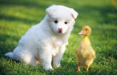 �����ķ�ˮ�кܶ��㶼ע������ ������������Ф