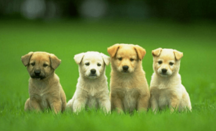 �����ķ�ˮ�кܶ��㶼ע������ ������������Ф